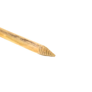Picture of 50 x 50 x 450mm Pointed Peg -Treated