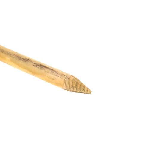 Picture of 38 x 38 x 450mm Pointed Peg - Treated