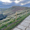 Picture of 0.8m x 50m Stock Fencing - C8/80/15